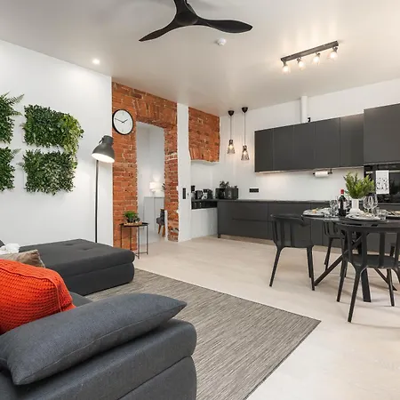 Spacious And Modern Centre Deluxe Entire Flat For Business And Parnu