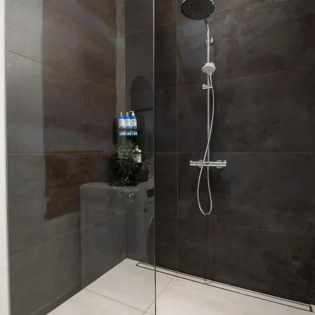 Spacious And Modern Centre Deluxe Entire Flat For Business And *